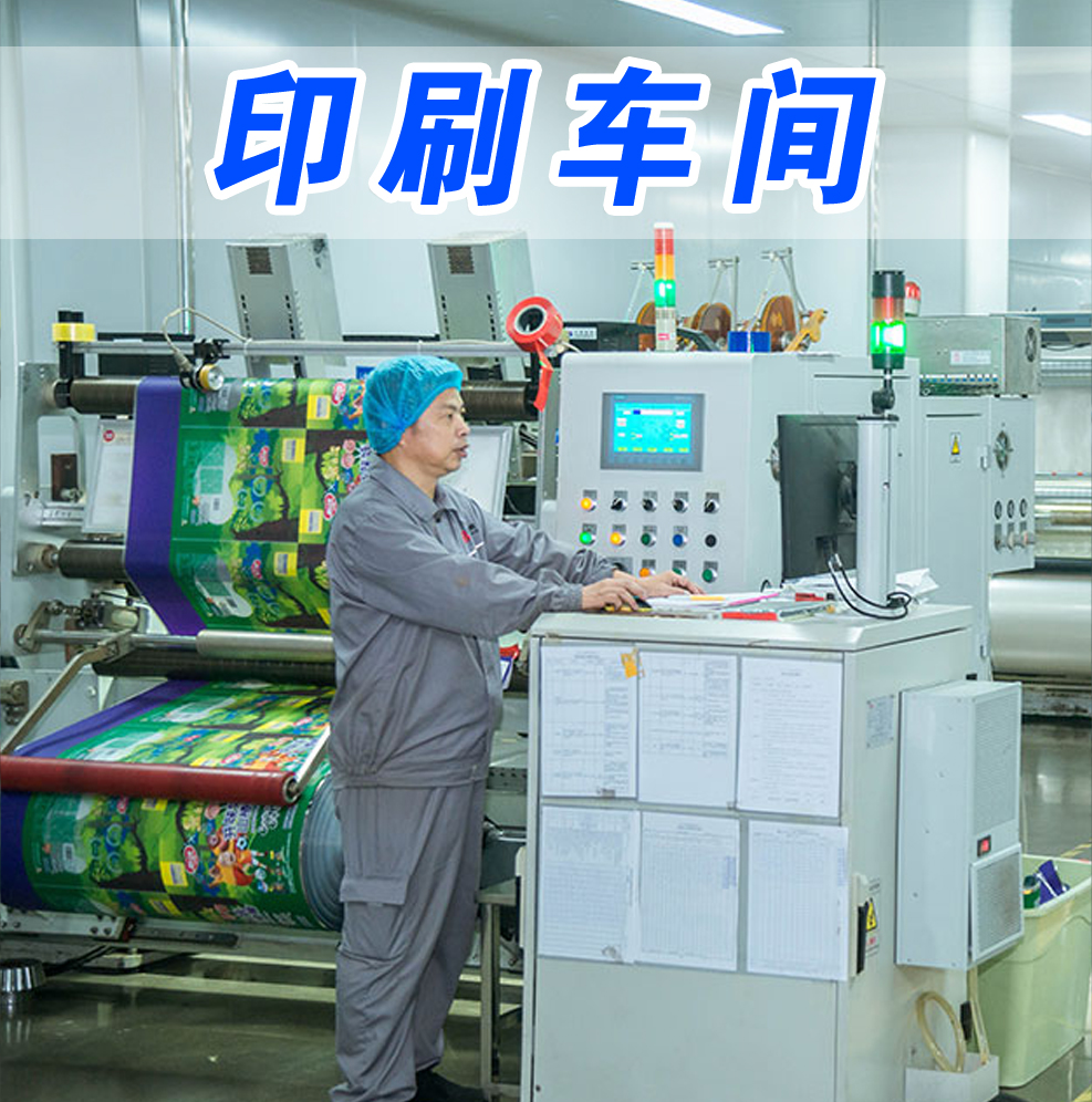 濰坊揭阳复森汽车制造有限责任公司(3G网站)，根(gen)據客戶需求定制(zhì)不同款式包裝袋(dai)